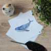 carte postale baleine marguerite