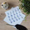 Carte postale manchots