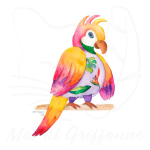 Perroquet femelle