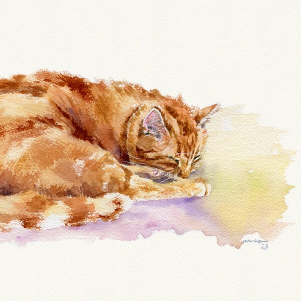 Aquarelle de Roody, du bar à Chats NekoOrléans - A retrouver en reproduction