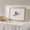Chat genre chartreux