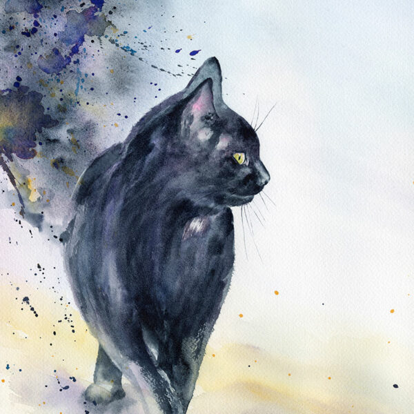 Aquarelle détail, chat noir