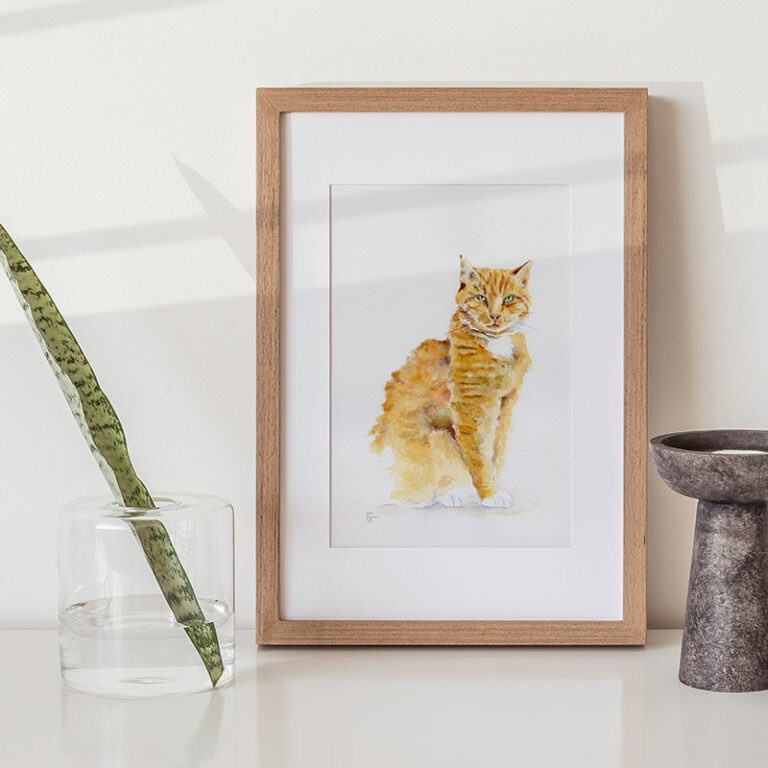 Rocky - Collection privée.