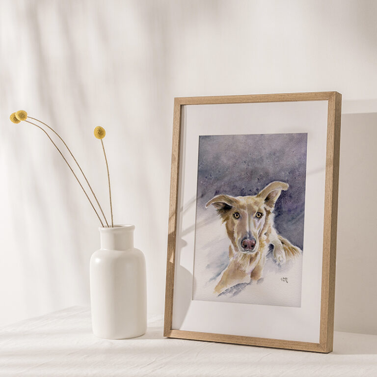 Chouky le 3 Pattes - Chien client