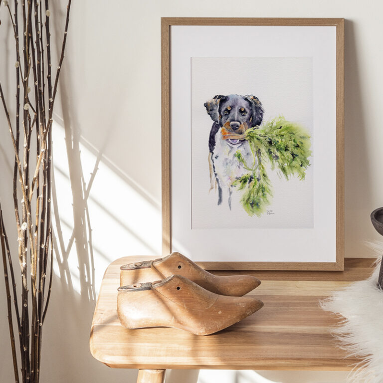 Urca - Chien Epagneul Breton tricolore - Client