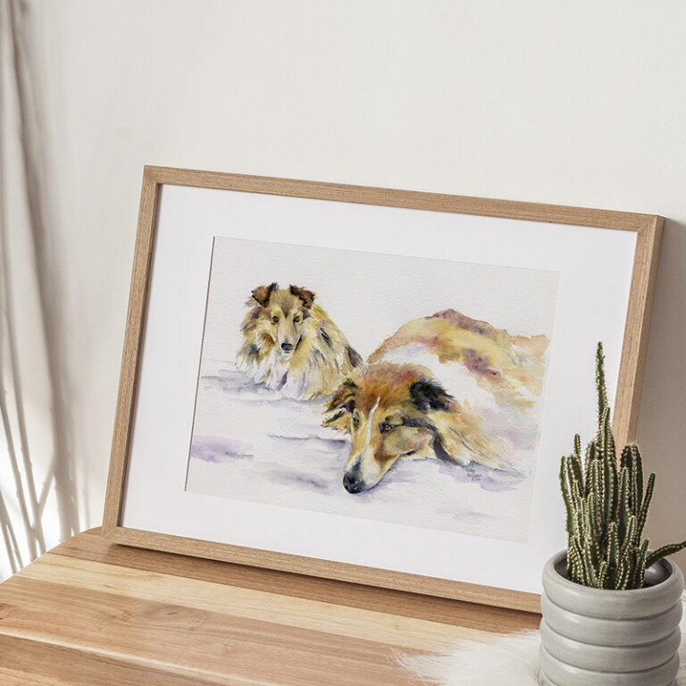 2 chiens Colley à poils longs - Cliente