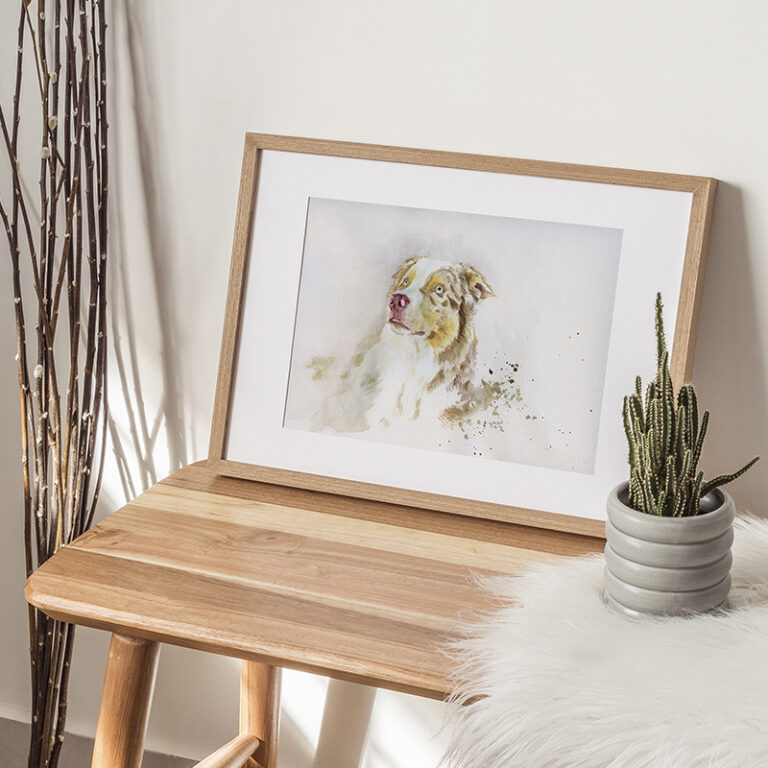 Roy - Chien Rouge Merle aux yeux verts - Client