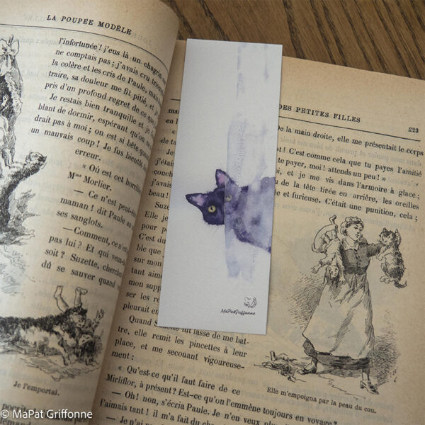 Marque-page chat noir dans livre