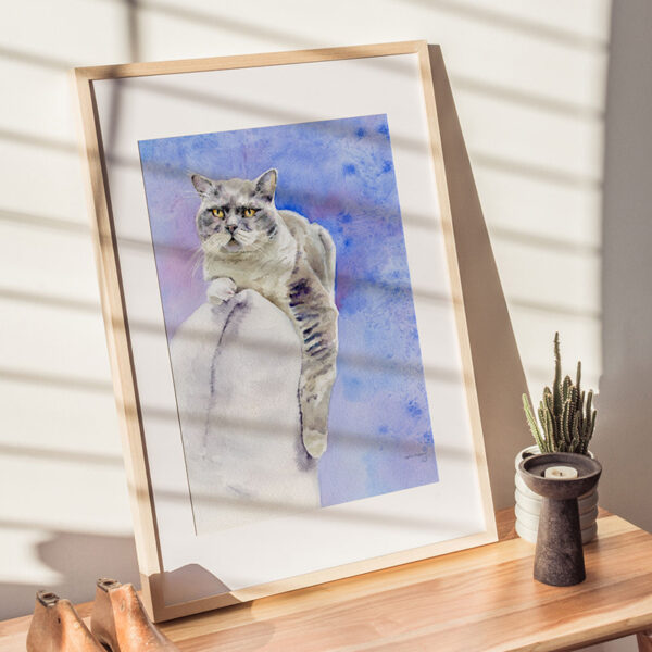 British Shorthair, sur le canapé - Dans son cadre