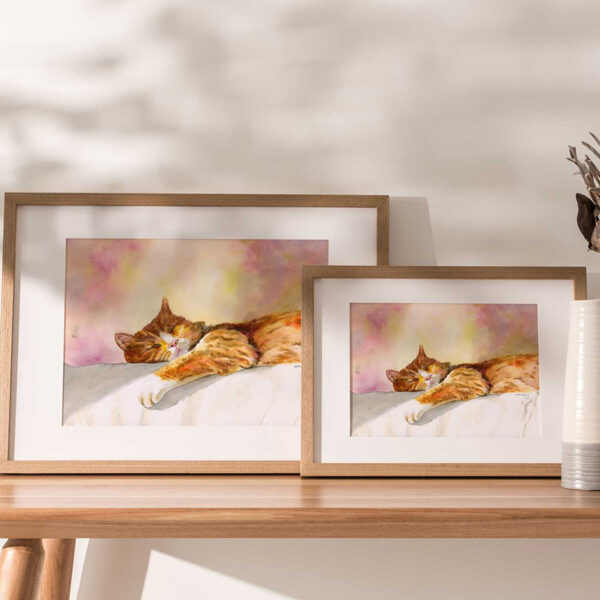 Chat roux au soleil 2 cadres - A3 ou A4