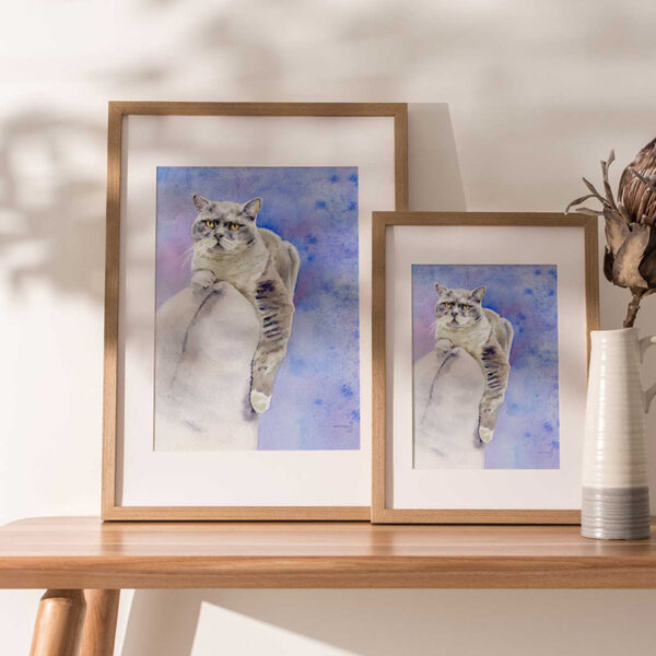 British Shorthair, sur le canapé - Dans des cadres A3 et A4