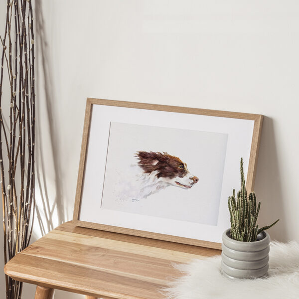 Reproduction Fine Art d'un Epagneul Français