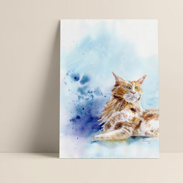 Chat Maine coon - détail