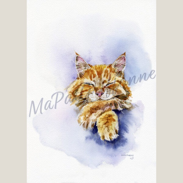 Chat roux pattes croisées - Détail