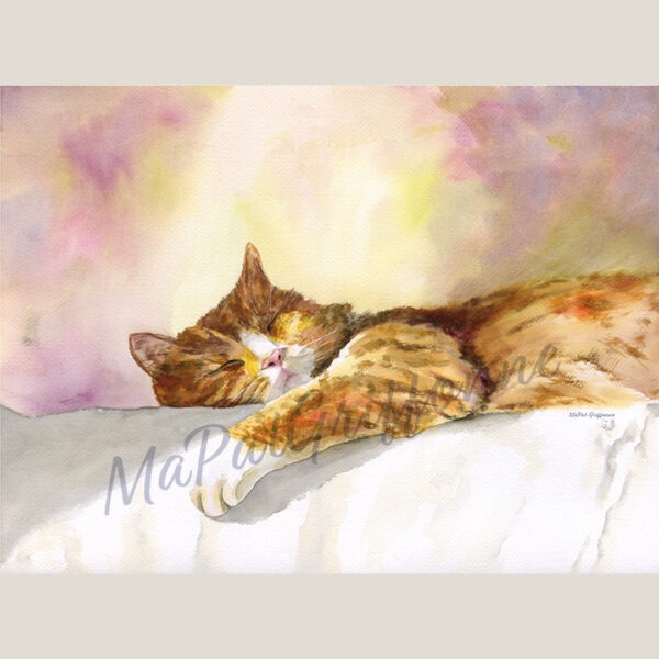 Chat roux au soleil