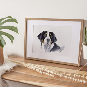 Chien-Grand Bouvier Suisse