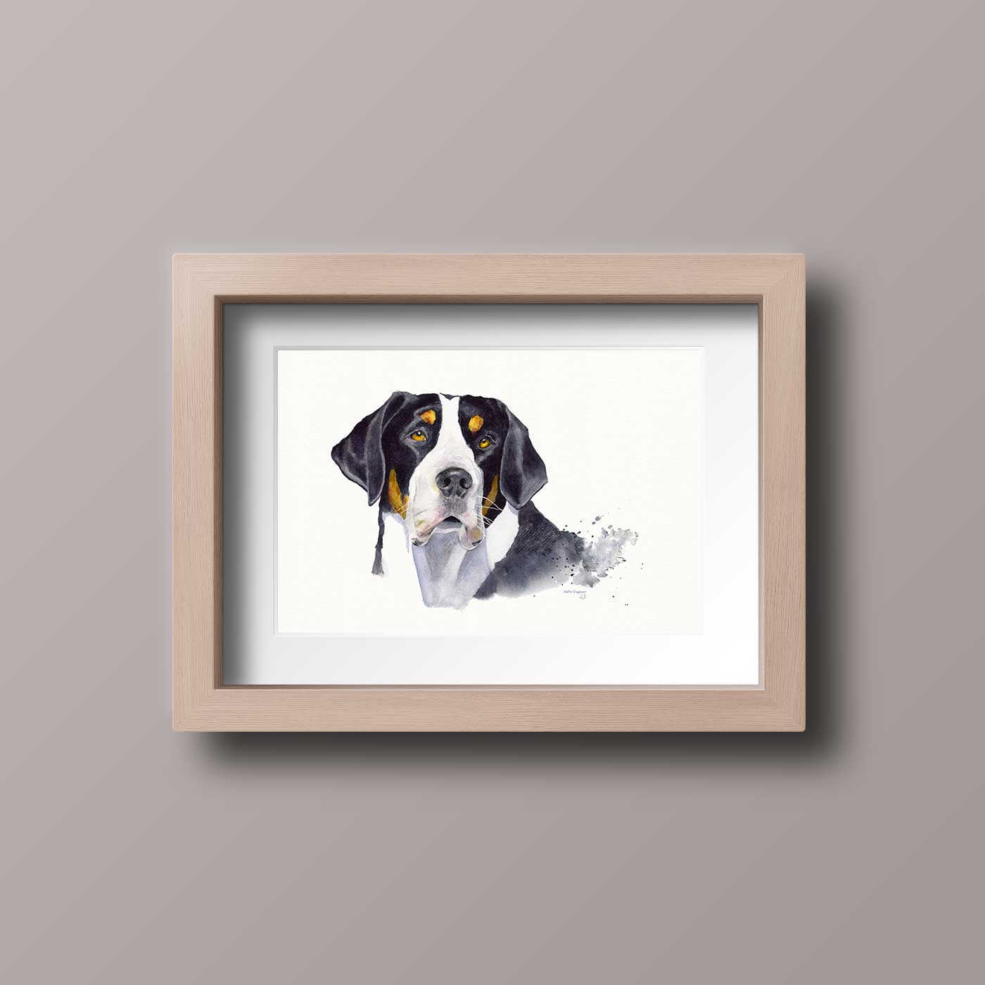 Grand Bouvier Suisse - Format 1318